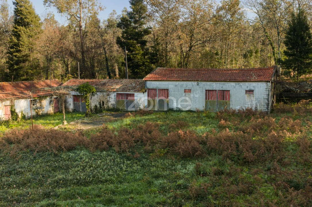 Quinta T9 para Venda em Santa Maria da Feira, Travanca, Sanfins e Espargo Foto 38