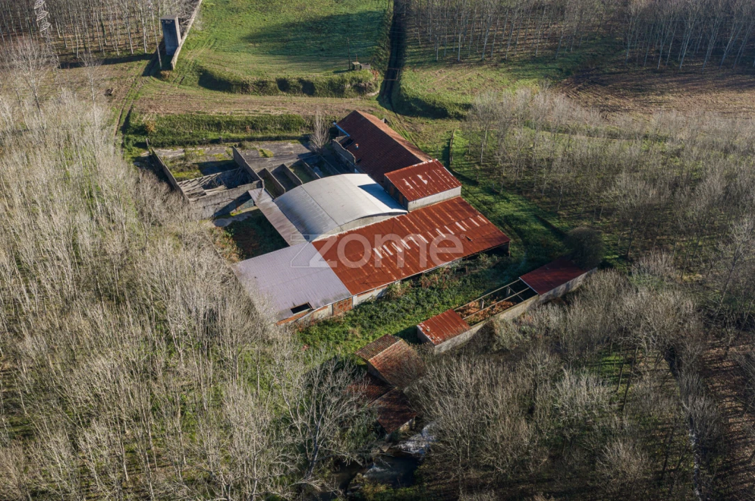 Quinta T9 para Venda em Santa Maria da Feira, Travanca, Sanfins e Espargo Foto 33