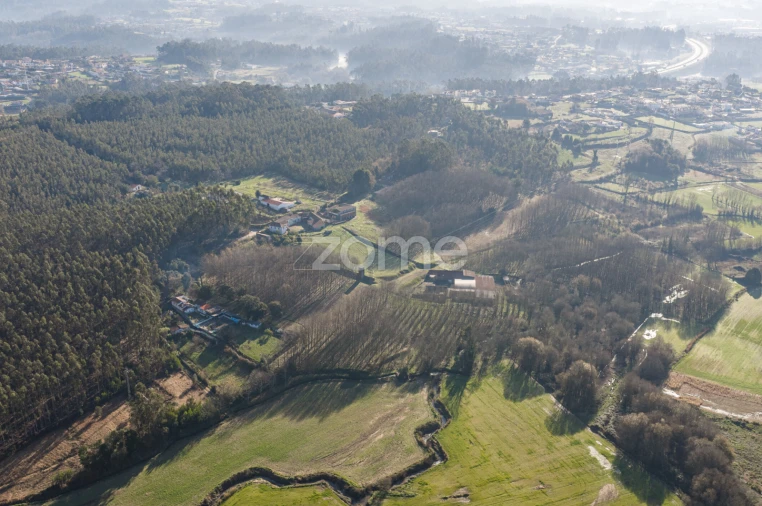 Quinta T9 para Venda em Santa Maria da Feira, Travanca, Sanfins e Espargo Foto 43