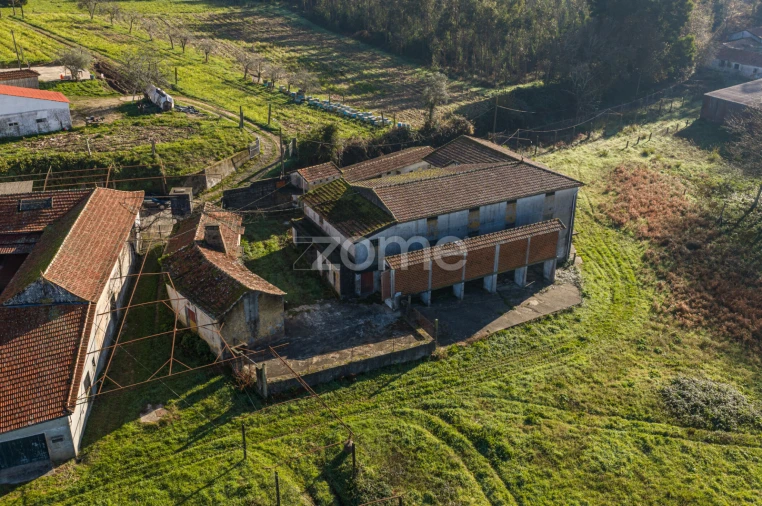 Quinta T9 para Venda em Santa Maria da Feira, Travanca, Sanfins e Espargo Foto 39