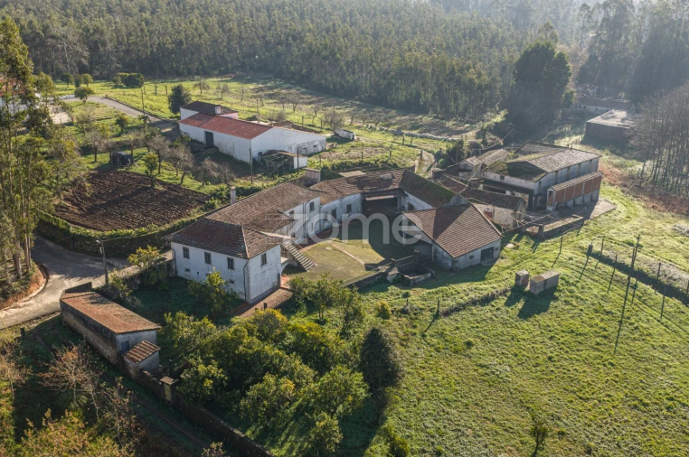 Quinta T9 para Venda em Santa Maria da Feira, Travanca, Sanfins e Espargo Foto 40