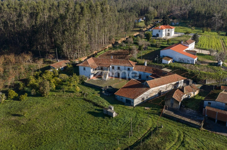 Quinta T9 para Venda em Santa Maria da Feira, Travanca, Sanfins e Espargo Foto 41