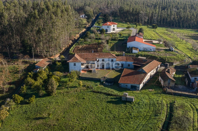 Quinta T9 para Venda em Santa Maria da Feira, Travanca, Sanfins e Espargo Foto 34