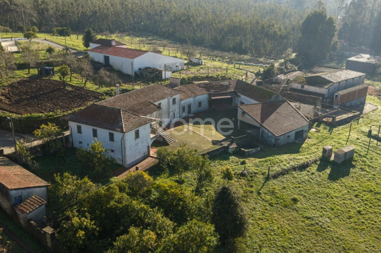 Quinta T9 para Venda em Santa Maria da Feira, Travanca, Sanfins e Espargo Foto 35
