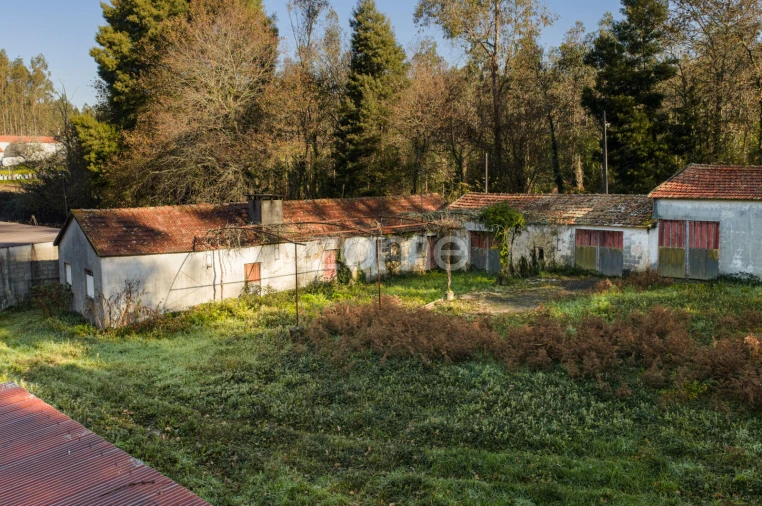 Quinta T9 para Venda em Santa Maria da Feira, Travanca, Sanfins e Espargo Foto 37