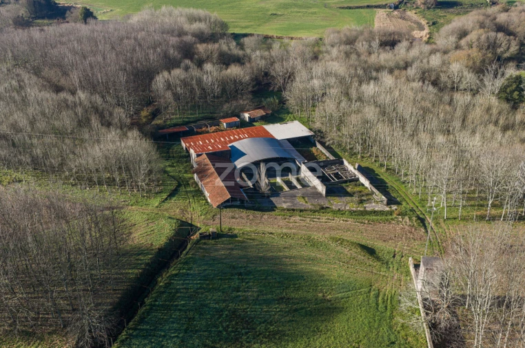 Quinta T9 para Venda em Santa Maria da Feira, Travanca, Sanfins e Espargo Foto 32