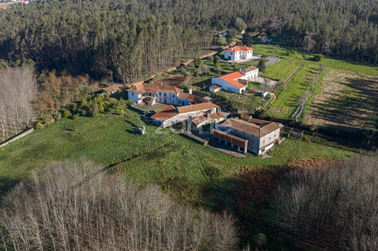 Quinta T9 para Venda em Santa Maria da Feira, Travanca, Sanfins e Espargo Foto 24