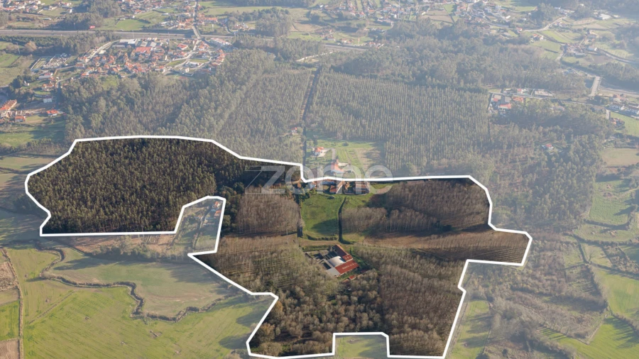 Quinta T9 para Venda em Santa Maria da Feira, Travanca, Sanfins e Espargo