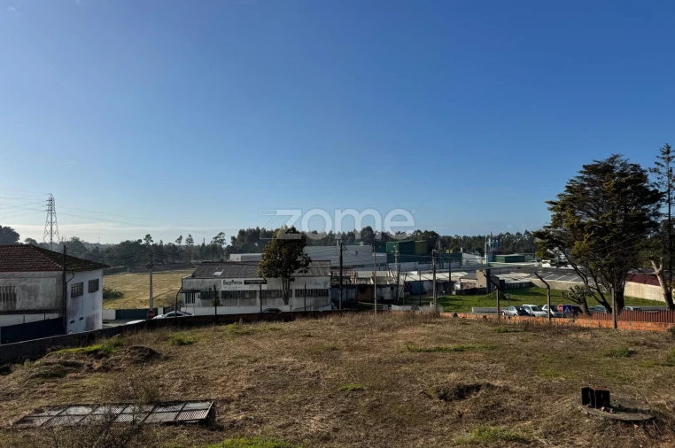 Terreno para Venda em São Paio de Oleiros Foto 20