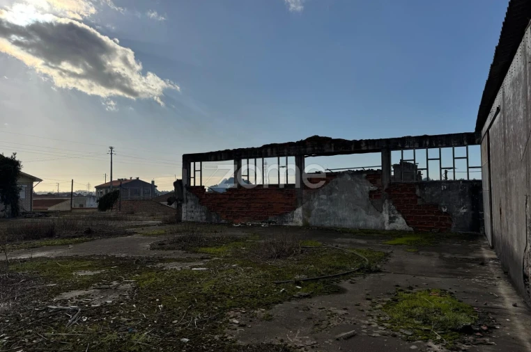 Terreno para Venda em São Paio de Oleiros Foto 17