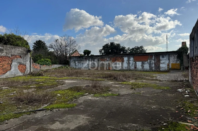 Terreno para Venda em São Paio de Oleiros Foto 15