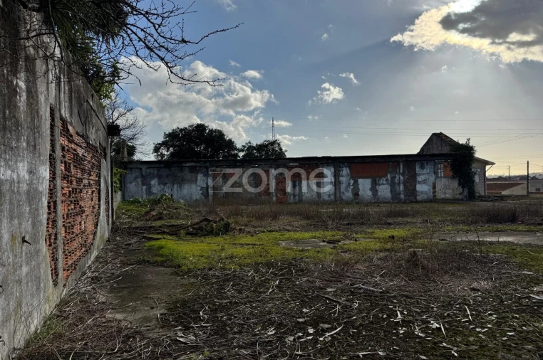 Terreno para Venda em São Paio de Oleiros Foto 18