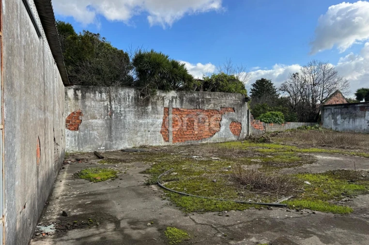 Terreno para Venda em São Paio de Oleiros Foto 16