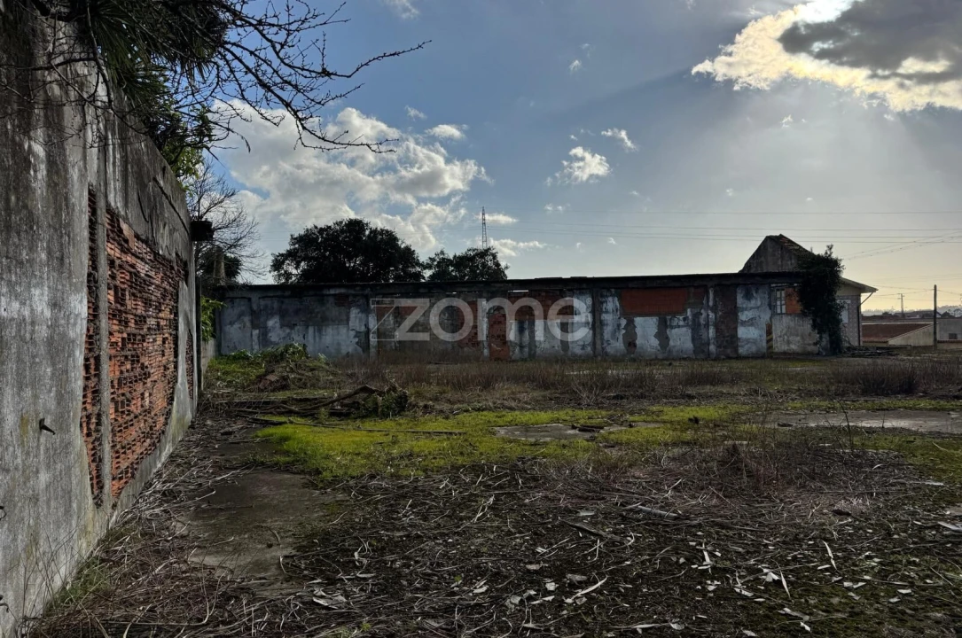 Terreno para Venda em São Paio de Oleiros Foto 18