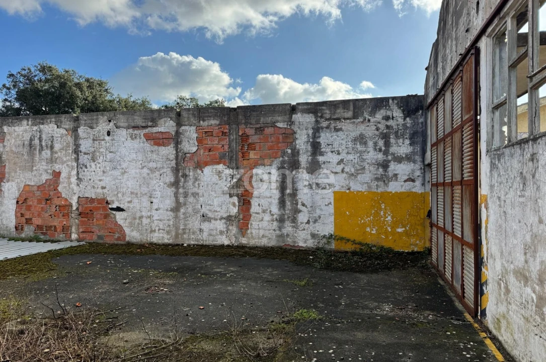 Terreno para Venda em São Paio de Oleiros Foto 12