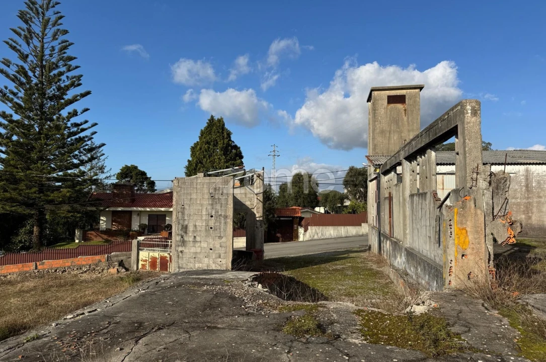 Terreno para Venda em São Paio de Oleiros Foto 22