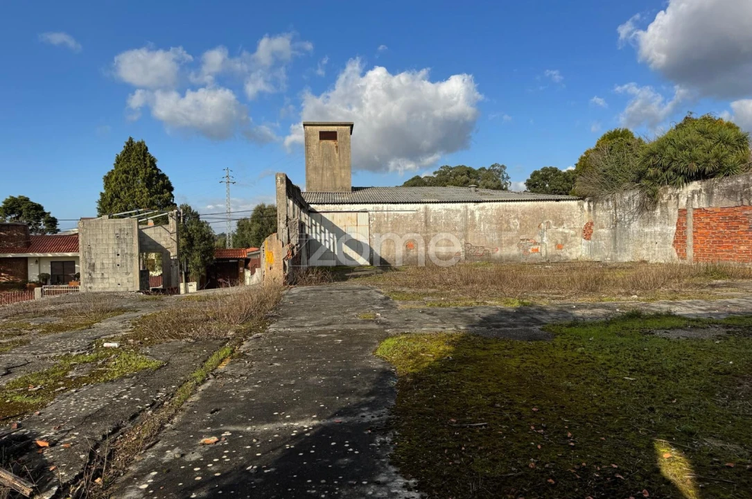 Terreno para Venda em São Paio de Oleiros Foto 13