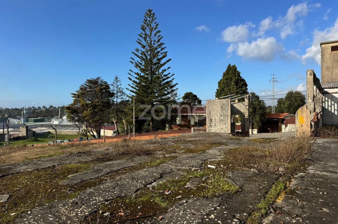 Terreno para Venda em São Paio de Oleiros Foto 21