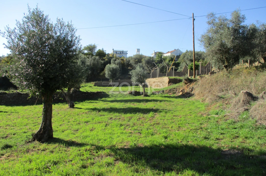 Moradia T9 para Venda em Serra e Junceira Foto 9