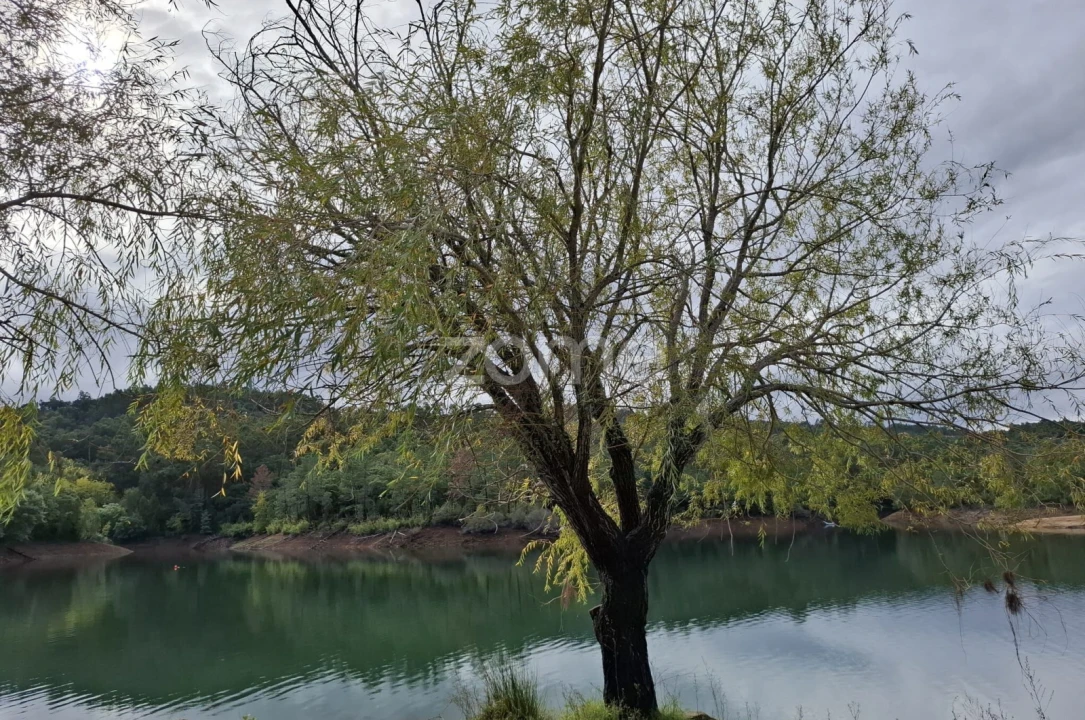 Moradia T9 para Venda em Serra e Junceira Foto 70