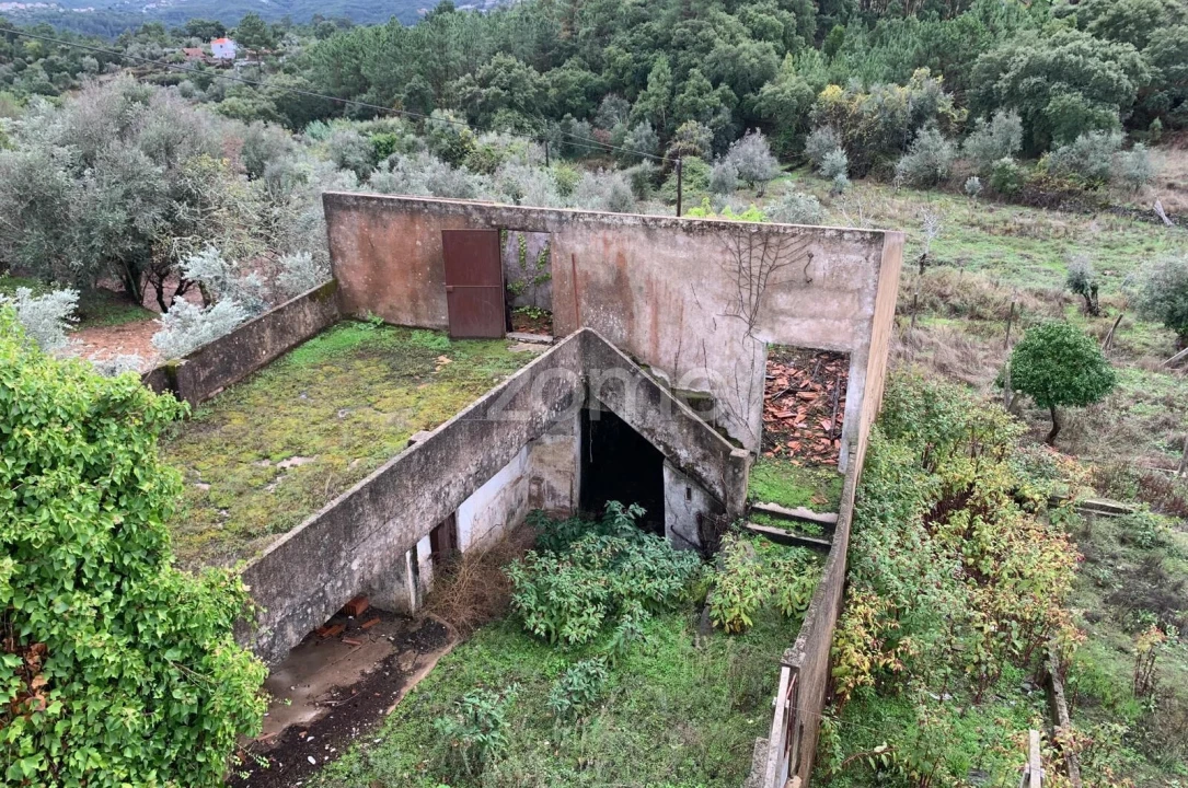 Moradia T9 para Venda em Serra e Junceira Foto 57