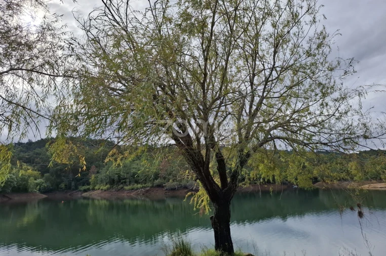 Moradia T9 para Venda em Serra e Junceira Foto 70