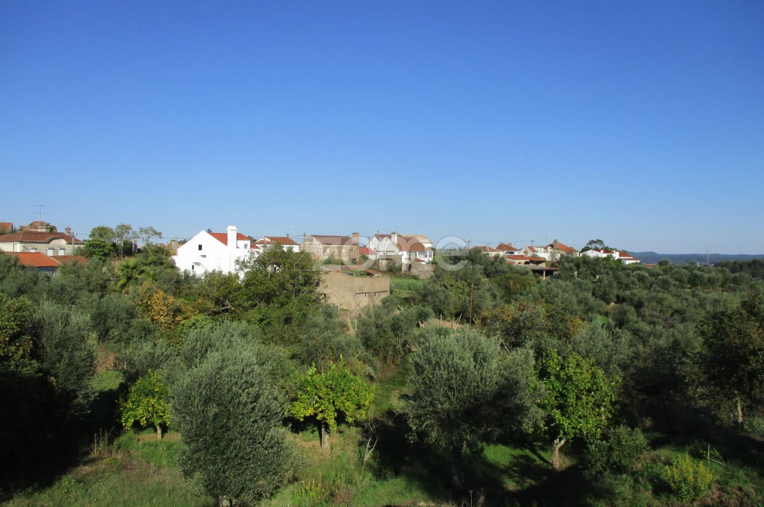 Moradia T9 para Venda em Serra e Junceira Foto 10