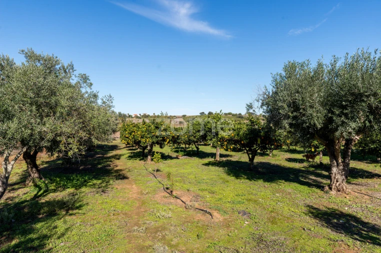 Quinta T3 para Venda em Beja (Salvador e Santa Maria da Feira) Foto 24