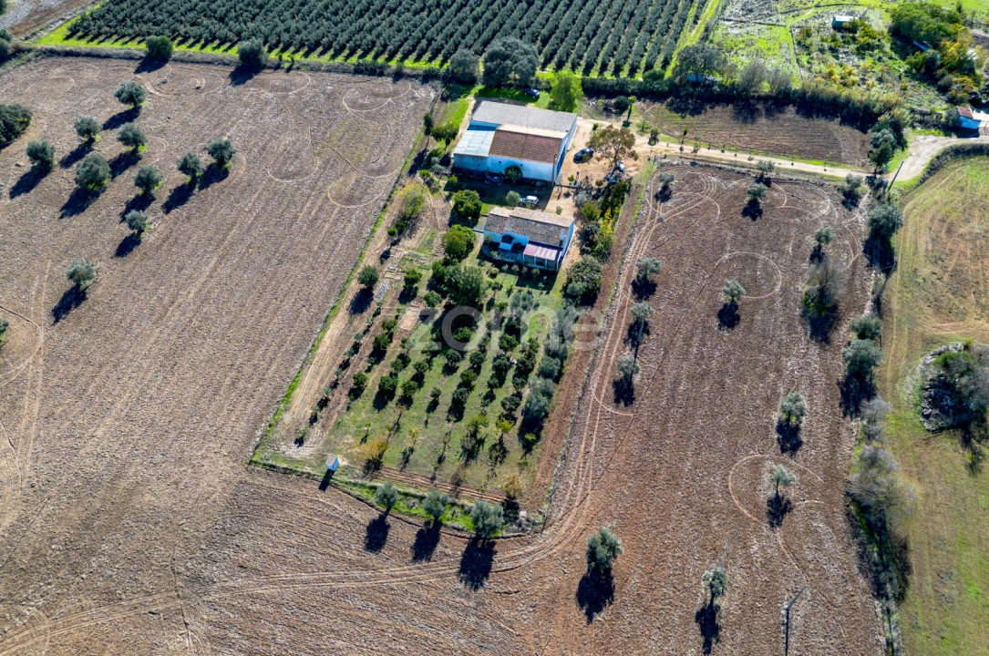 Quinta T3 para Venda em Beja (Salvador e Santa Maria da Feira) Foto 7