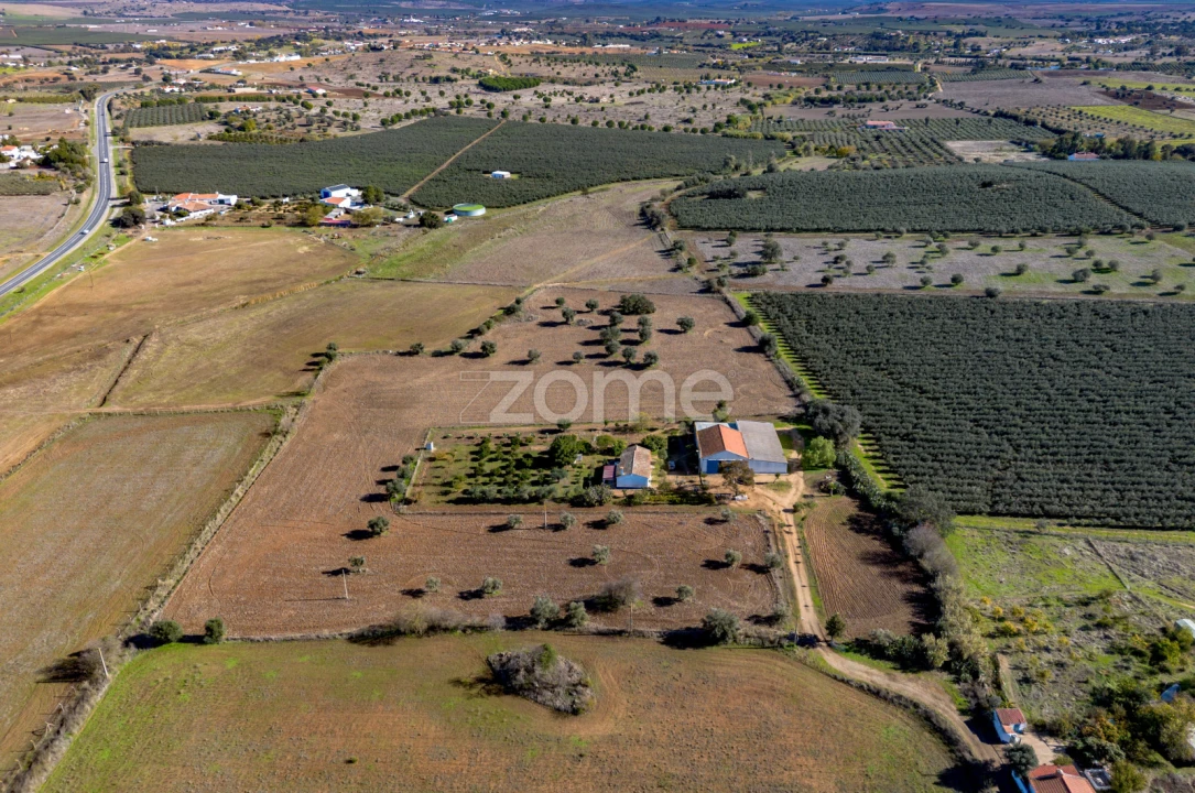 Quinta T3 para Venda em Beja (Salvador e Santa Maria da Feira) Foto 2