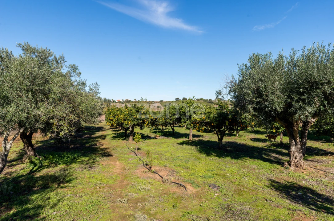 Quinta T3 para Venda em Beja (Salvador e Santa Maria da Feira) Foto 24