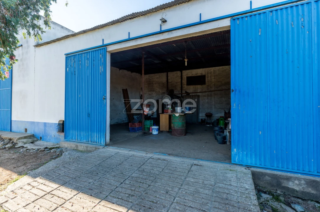 Quinta T3 para Venda em Beja (Salvador e Santa Maria da Feira) Foto 32