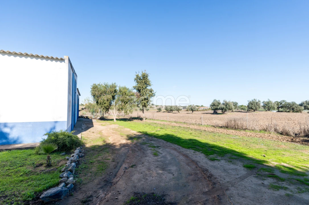 Quinta T3 para Venda em Beja (Salvador e Santa Maria da Feira) Foto 35
