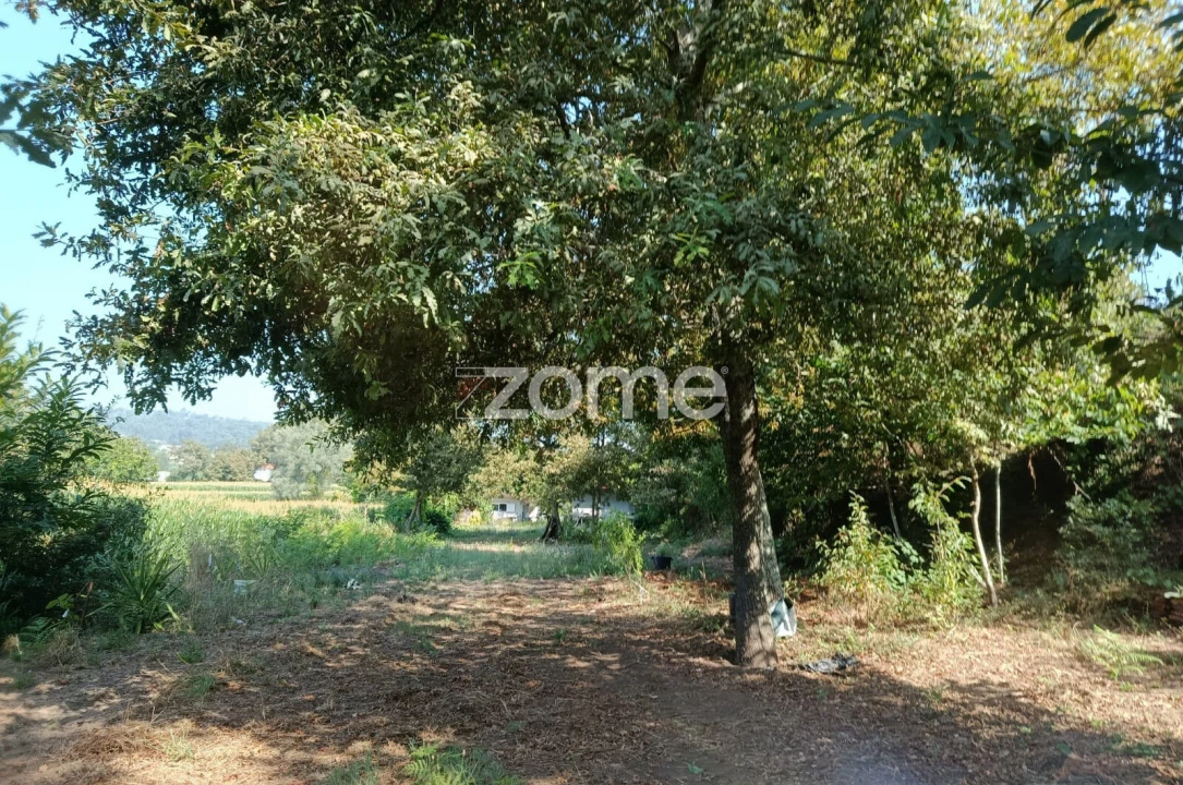 Terreno para Venda em Vila Verde e Barbudo Foto 13