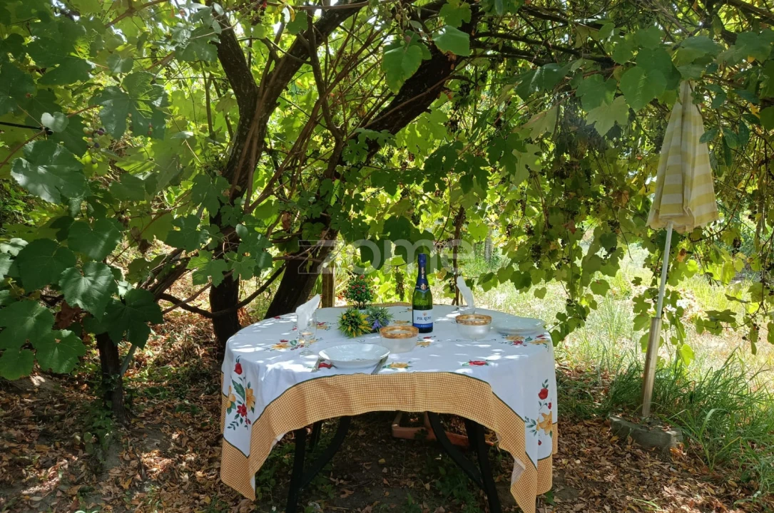 Terreno para Venda em Vila Verde e Barbudo Foto 12