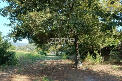 Terreno para Venda em Vila Verde e Barbudo