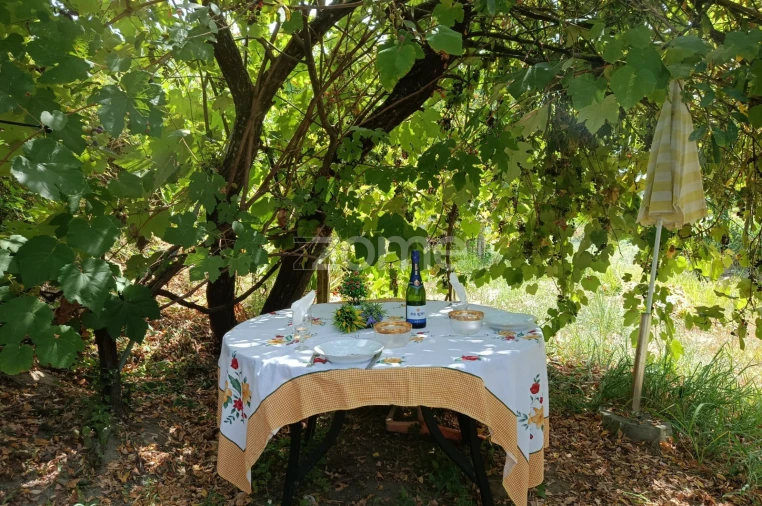 Terreno para Venda em Vila Verde e Barbudo Foto 12