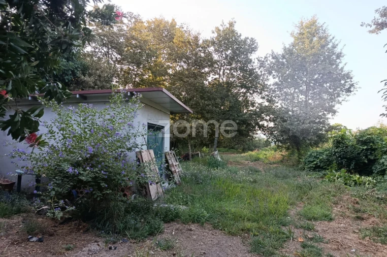 Terreno para Venda em Vila Verde e Barbudo Foto 7
