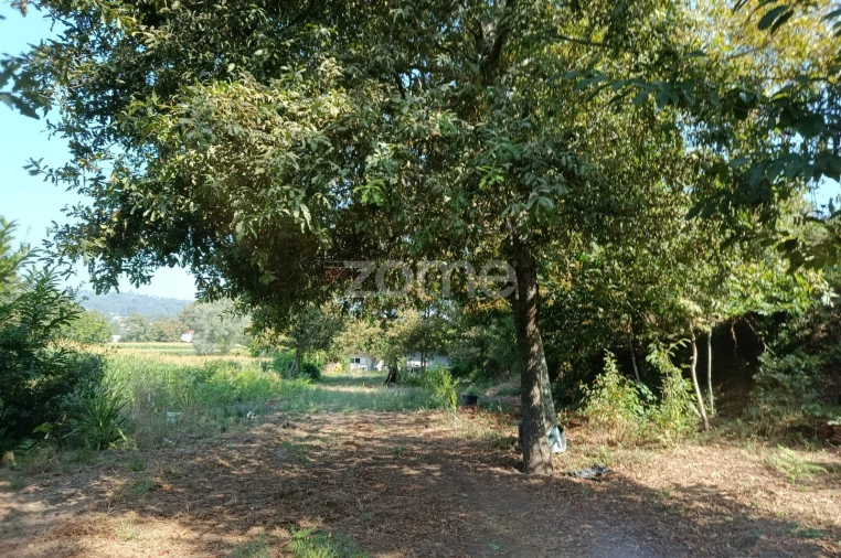 Terreno para Venda em Vila Verde e Barbudo Foto 8