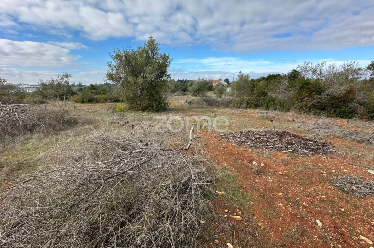 Quinta T1 para Venda em Almoster Foto 10