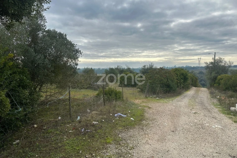 Quinta T1 para Venda em Almoster Foto 29