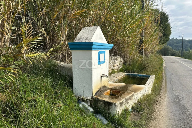 Quinta T1 para Venda em Almoster Foto 8