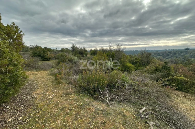 Quinta T1 para Venda em Almoster Foto 25