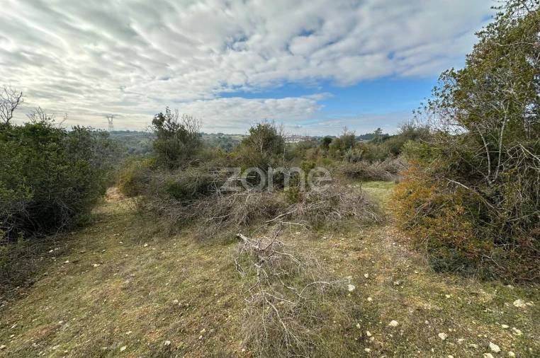 Quinta T1 para Venda em Almoster Foto 26