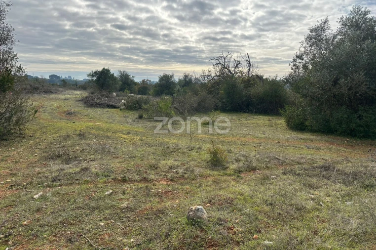 Quinta T1 para Venda em Almoster Foto 13