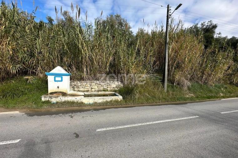 Quinta T1 para Venda em Almoster Foto 9