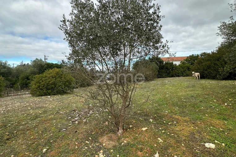 Quinta T1 para Venda em Almoster Foto 20