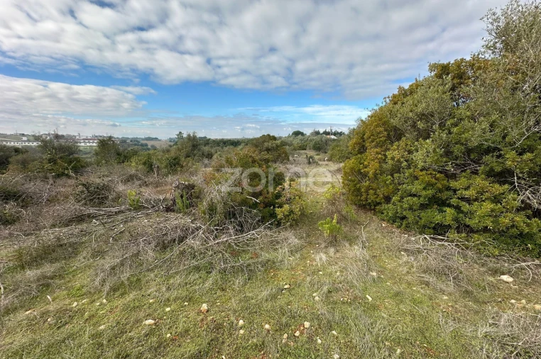 Quinta T1 para Venda em Almoster Foto 21