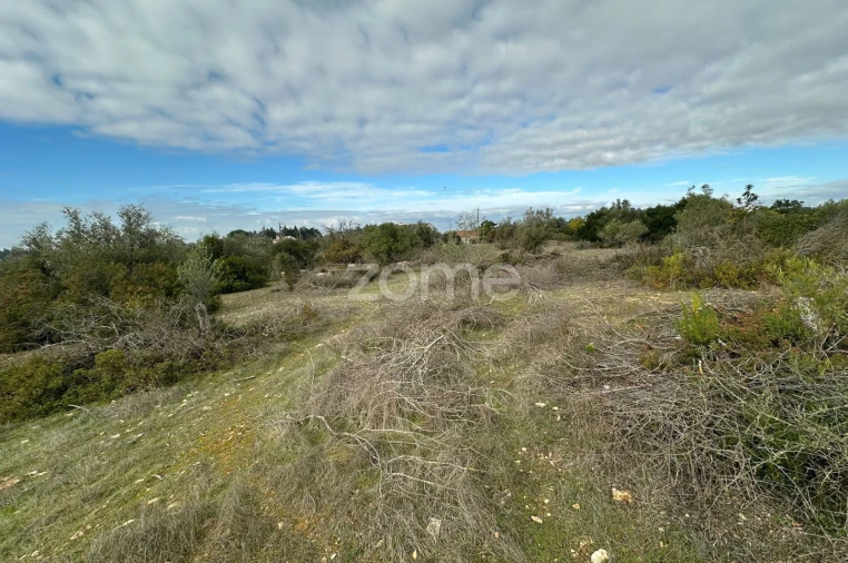 Quinta T1 para Venda em Almoster Foto 24