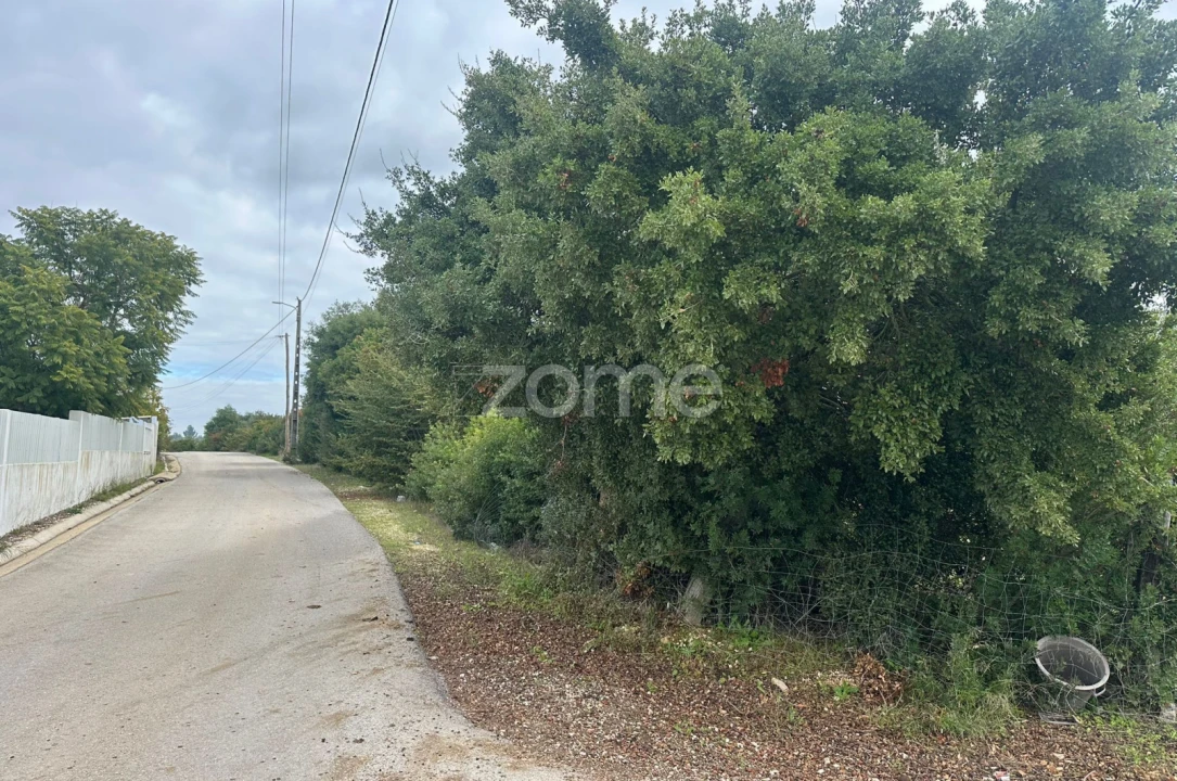 Quinta T1 para Venda em Almoster Foto 27